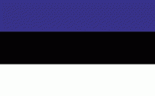 2x3' Estonia Nylon Flag