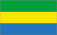 2x3' Gabon Nylon Flag