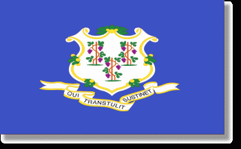 Connecticut Stick Flag - Rayon - 4x6"