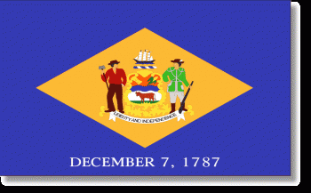 Delaware Stick Flag - Rayon - 4x6"