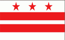 District of Columbia Stick Flag - Rayon - 4x6"