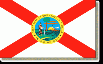 Florida Stick Flag - Rayon - 4x6"