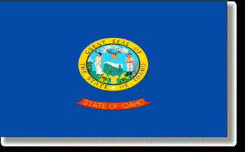 Idaho Stick Flag - Rayon - 4x6"