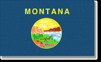 Montana Stick Flag - Rayon - 4x6"