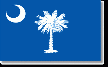 South Carolina Stick Flag - Rayon - 4x6"