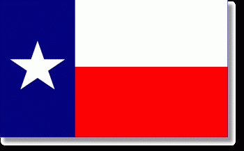 Texas Stick Flag - Rayon - 4x6"