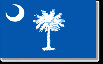 4x6' South Carolina State Flag - Polyester