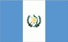8x12" Guatemala Rayon Mounted Flag