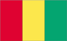 2x3' Guinea Nylon Flag