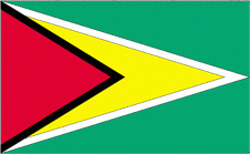 2x3' Guyana Nylon Flag