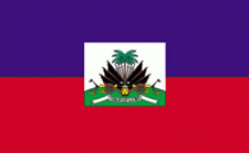 8x12" Haiti Rayon Mounted Flag