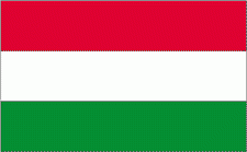 4x6" Hungary Rayon Mounted Flag