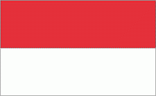 3x5' Indonesia Nylon Flag