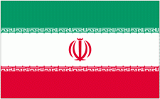 4x6" Iran Rayon Mounted Flag