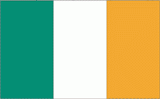 8x12" Ireland Rayon Mounted Flag