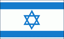 8x12" Israel Rayon Mounted Flag