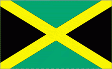 8x12" Jamaica Rayon Mounted Flag