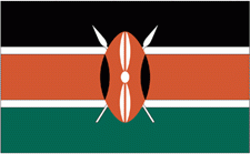 4x6" Kenya Rayon Mounted Flag
