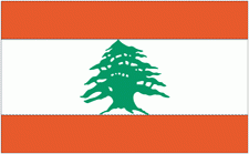 4x6" Lebanon Rayon Mounted Flag