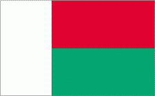 4x6" Madagascar Rayon Mounted Flag