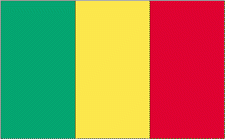 4x6" Mali Rayon Mounted Flag