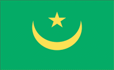 4x6" Mauritania Rayon Mounted Flag
