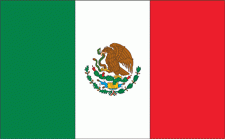 4x6" Mexico Rayon Mounted Flag