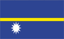 4x6" Nauru Rayon Mounted Flag