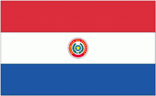 4x6" Paraguay Rayon Mounted Flag
