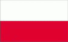 4x6" Poland Rayon Mounted Flag