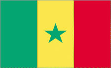 3x5' Senegal Nylon Flag