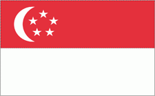 4x6" Singapore Rayon Mounted Flag