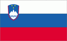 4x6" Slovenia Rayon Mounted Flag