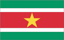 4x6' Suriname Nylon Flag