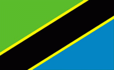 4x6" Tanzania Rayon Mounted Flag