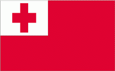 4x6" Tonga Rayon Mounted Flag