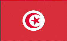 4x6" Tunisia Rayon Mounted Flag