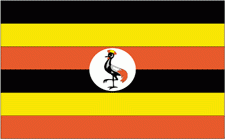 3x5' Uganda Nylon Flag