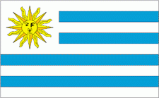 4x6" Uruguay Rayon Mounted Flag