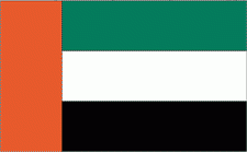 4x6" United Arab Emirates Rayon Mounted Flag