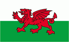 8x12" Wales Rayon Mounted Flag