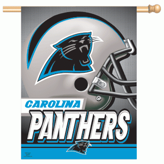 Stendardo Storico Carolina Panthers – Banner In Feltro 15x24 Pollici Con Loghi E Anni, Ufficiale NFL